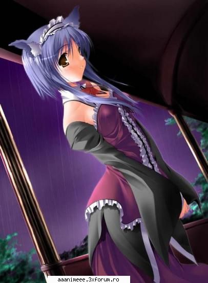 Banner-ul site-ului - Mitsuki_Sempai - opinii