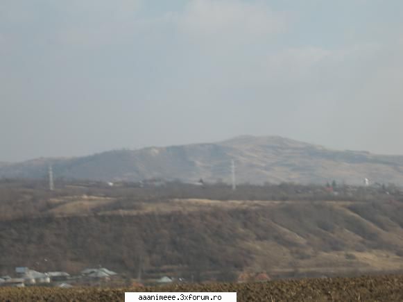 Maestri in fotografie - Mai am...Daka vretzy...pun j q shepi?? Tot din - Imagini