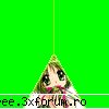 a question - Stie cineva unde se pun brush-urile ptr photoshop - probleme & nemultumiri